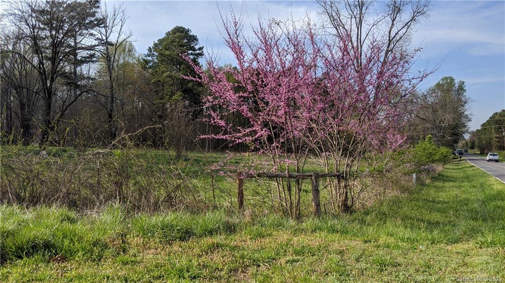 -59.76 Ac Jim McCarter Road York, SC 29745 - Photo 42 of 48 Gallery Image 42