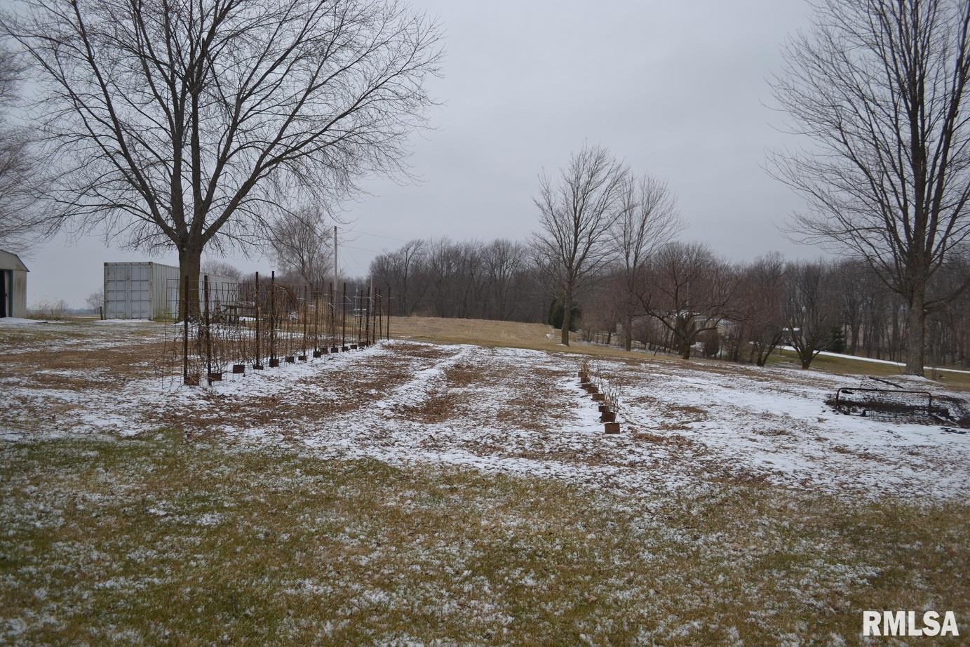 1635 Matson Road Jacksonville, IL 62650 - Photo 41 of 43