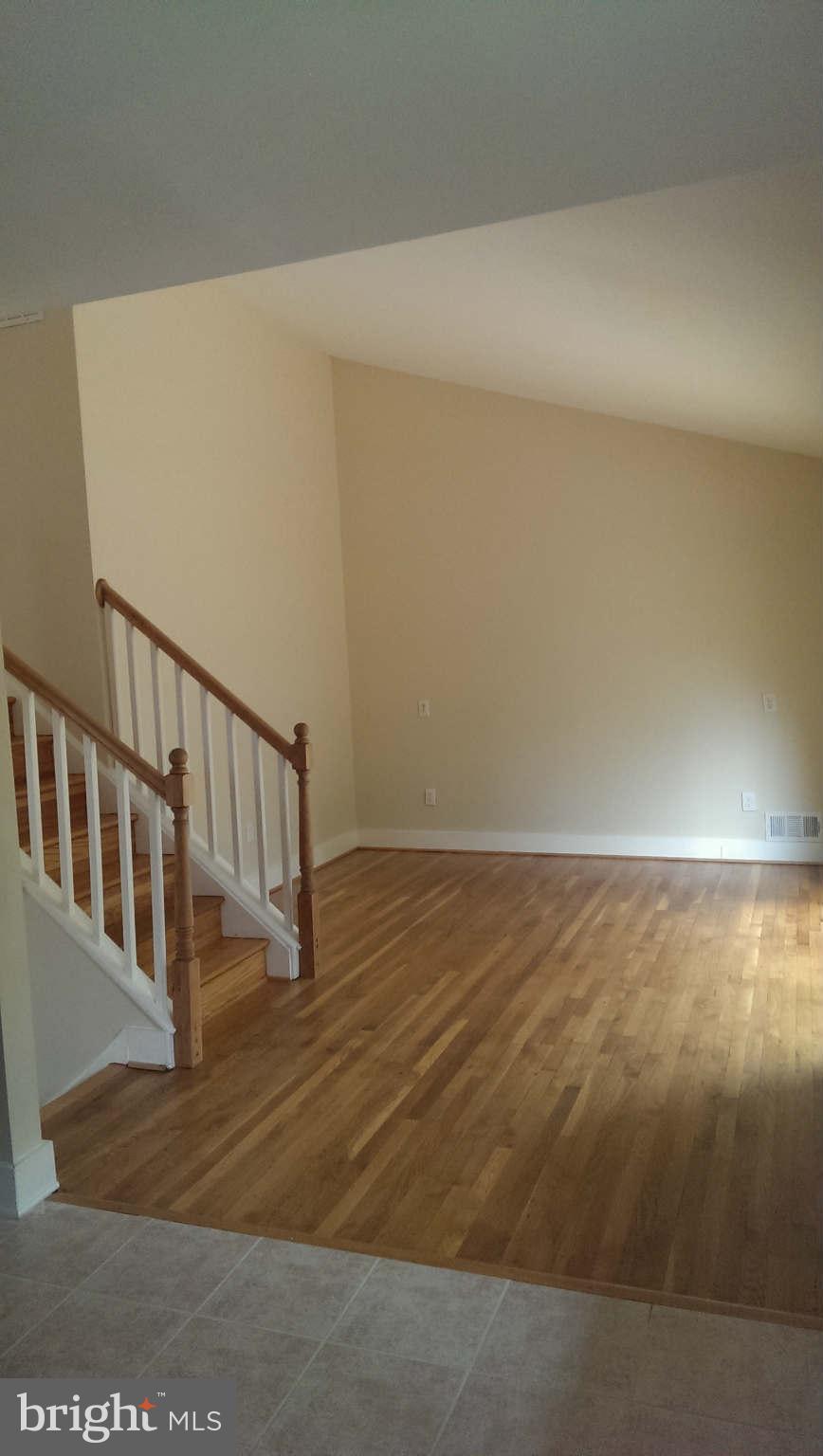 411 Eisner Street Silver Spring, MD 20901 - Photo 9 of 26 Cathedral Ceiling