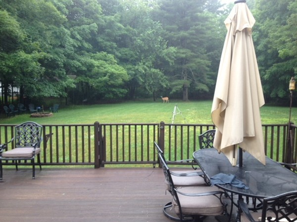 53 Lakeview Road Foxboro, MA 02035 - Photo 3 of 23 Gallery Image 3