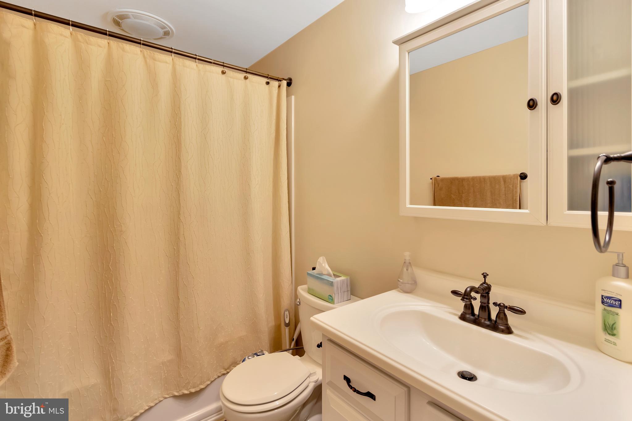 43364 Deepspring Court Ashburn, VA 20147 - Photo 52 of 59 Lower Level Bathroom