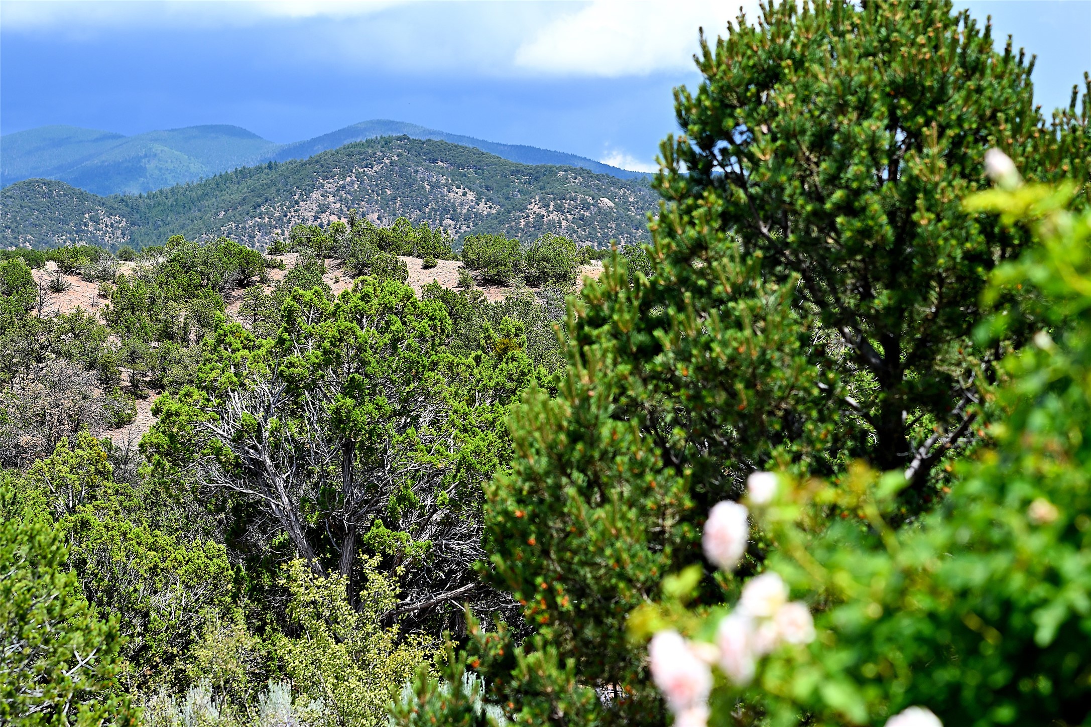 37 Rancho Escondido Santa Fe, NM 87506 - Photo 28 of 36