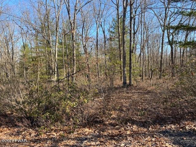 Lot #2 Fox Rdg Pk Drive Hawley, PA 18428 - Photo 2 of 4