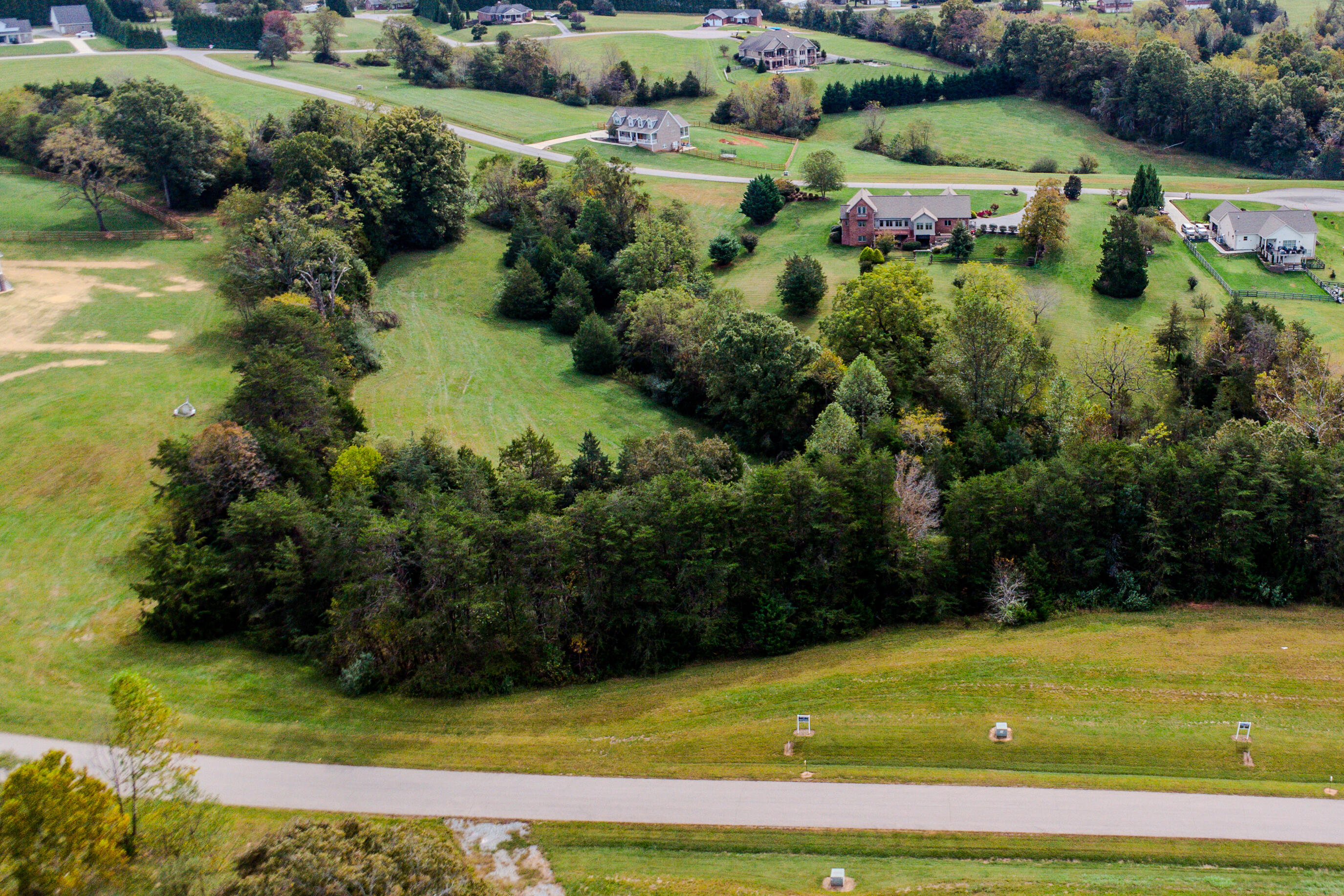 Lot 25 Nyle Ridge Road Wirtz, VA 24184 - Photo 2 of 8 a view of a garden with an trees