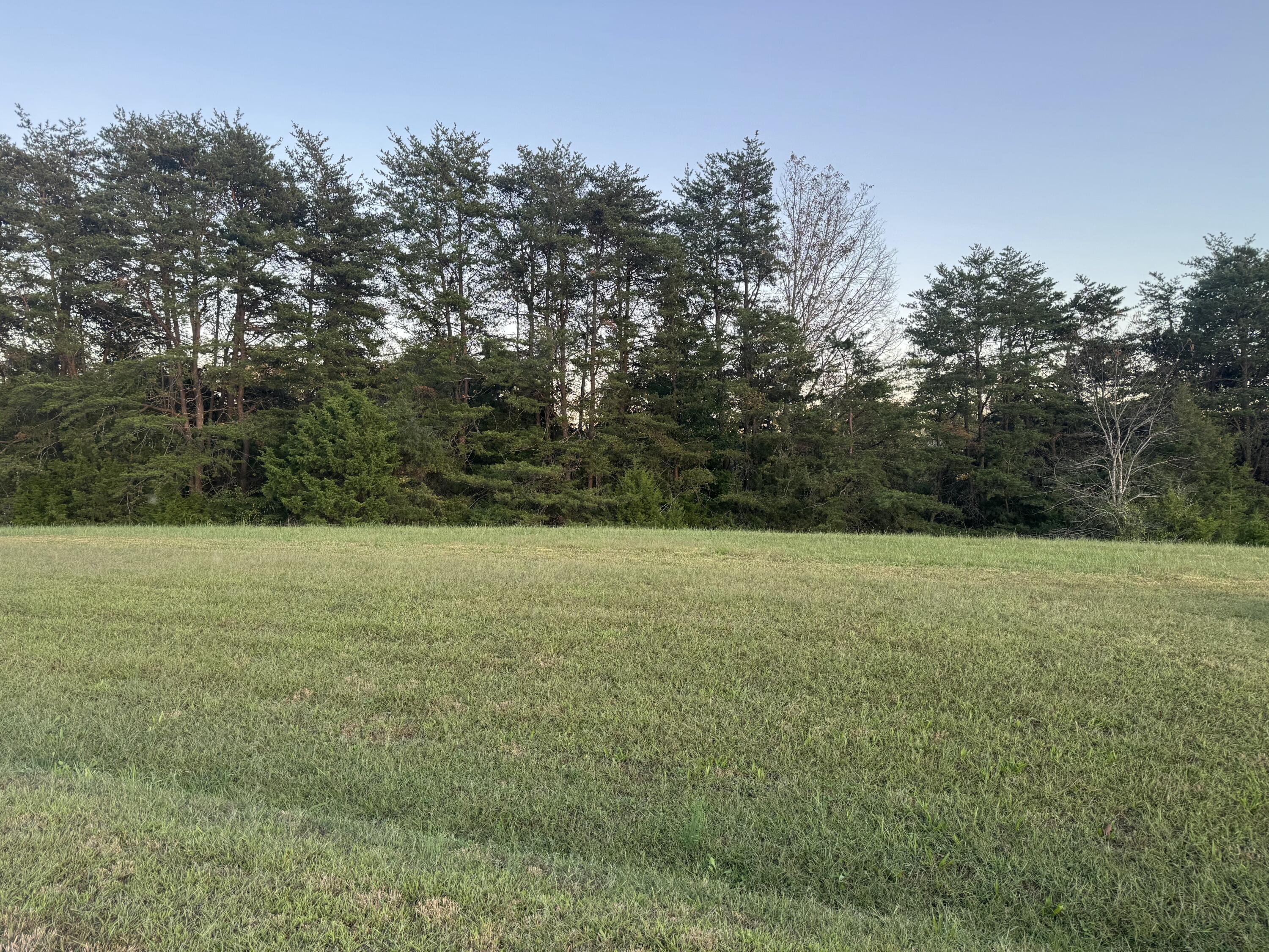 Lot 25 Nyle Ridge Road Wirtz, VA 24184 - Photo 6 of 8 a view of outdoor space and yard