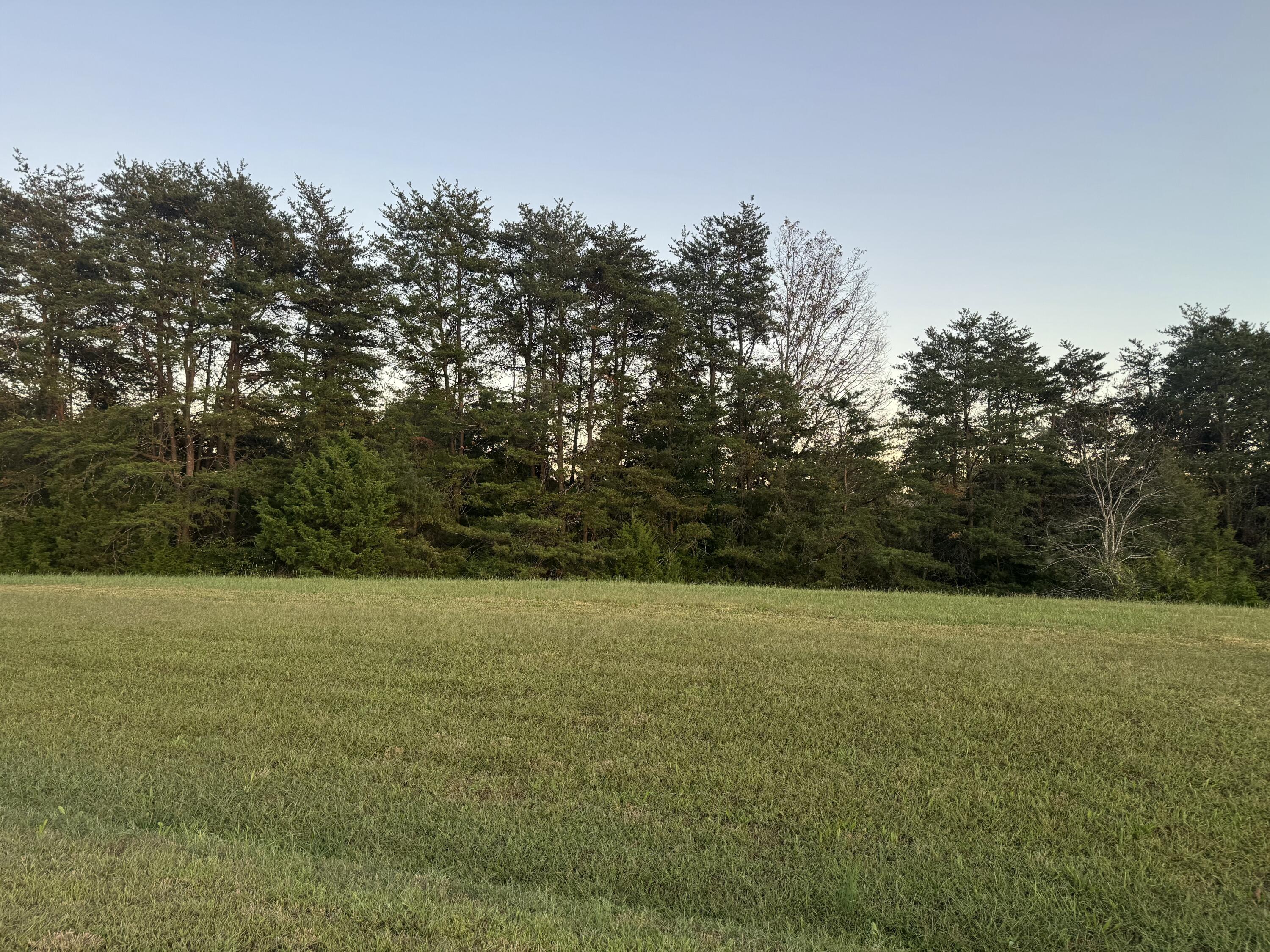 Lot 25 Nyle Ridge Road Wirtz, VA 24184 - Photo 7 of 8 a view of a field with trees in background