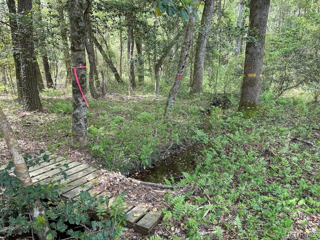 81-acres Lebanon Church Road Jarratt, VA 23867 - Photo 17 of 36 a flag is covered with tall trees