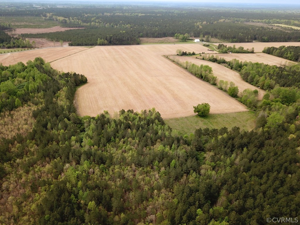 81-acres Lebanon Church Road Jarratt, VA 23867 - Photo 18 of 36 a view of an ocean beach