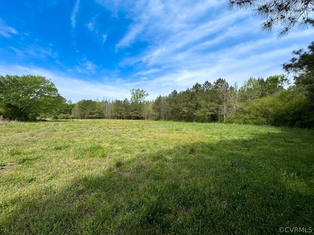 81-acres Lebanon Church Road Jarratt, VA 23867 - Photo 20 of 36 a view of a field with an trees in the background