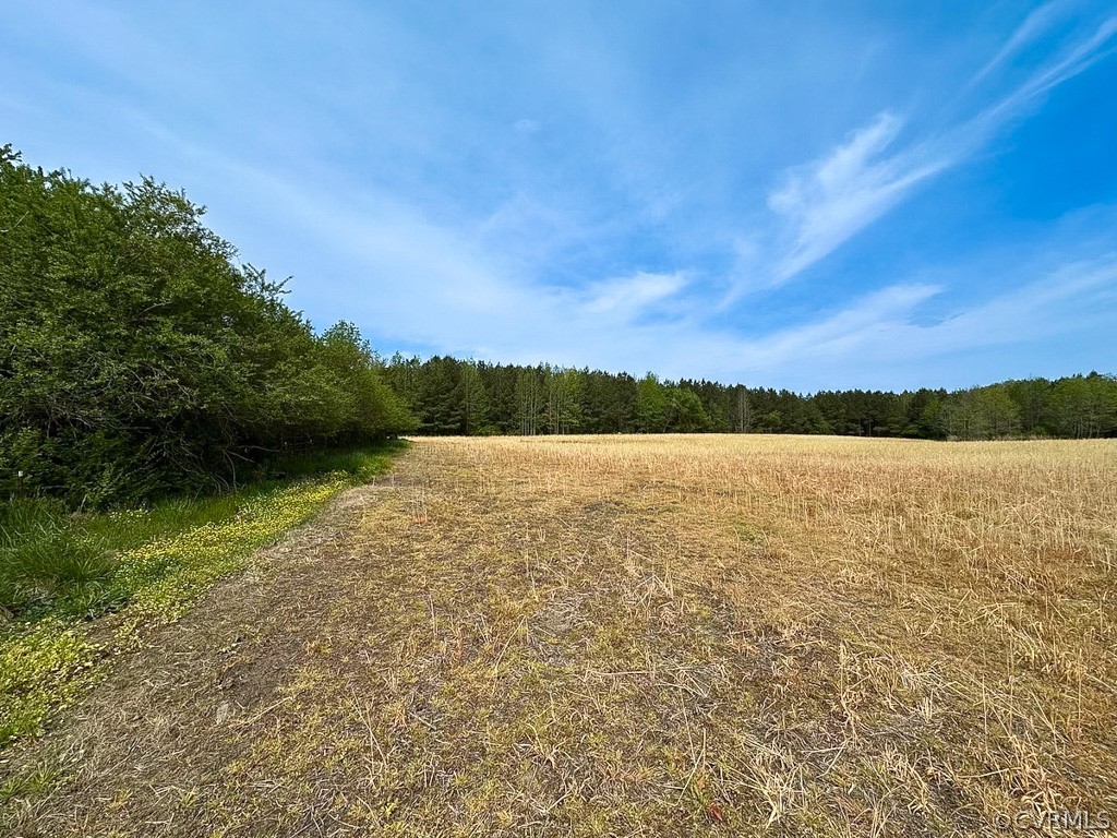 81-acres Lebanon Church Road Jarratt, VA 23867 - Photo 2 of 36 a view of lake with green space