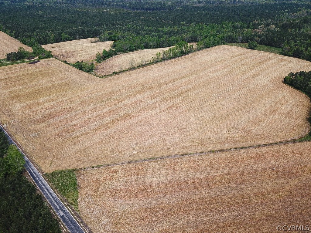81-acres Lebanon Church Road Jarratt, VA 23867 - Photo 21 of 36 a bed in a room next to a yard