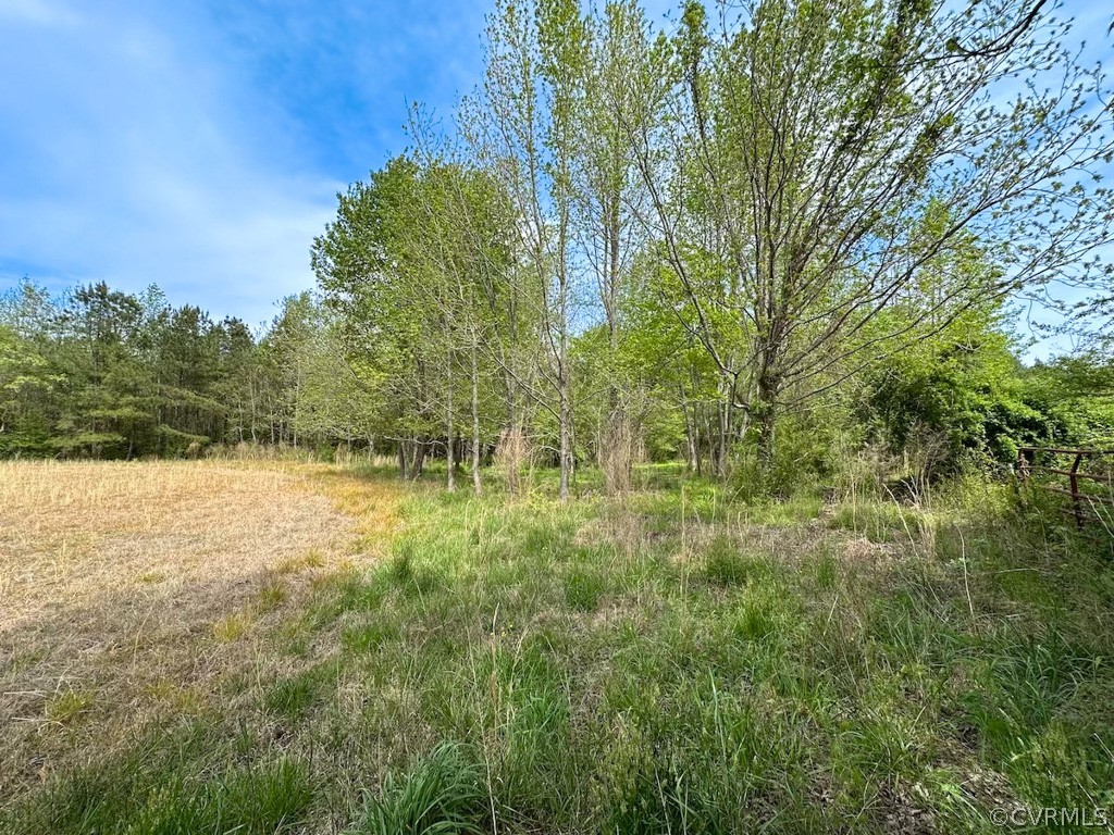 81-acres Lebanon Church Road Jarratt, VA 23867 - Photo 25 of 36 a view of a lush green forest