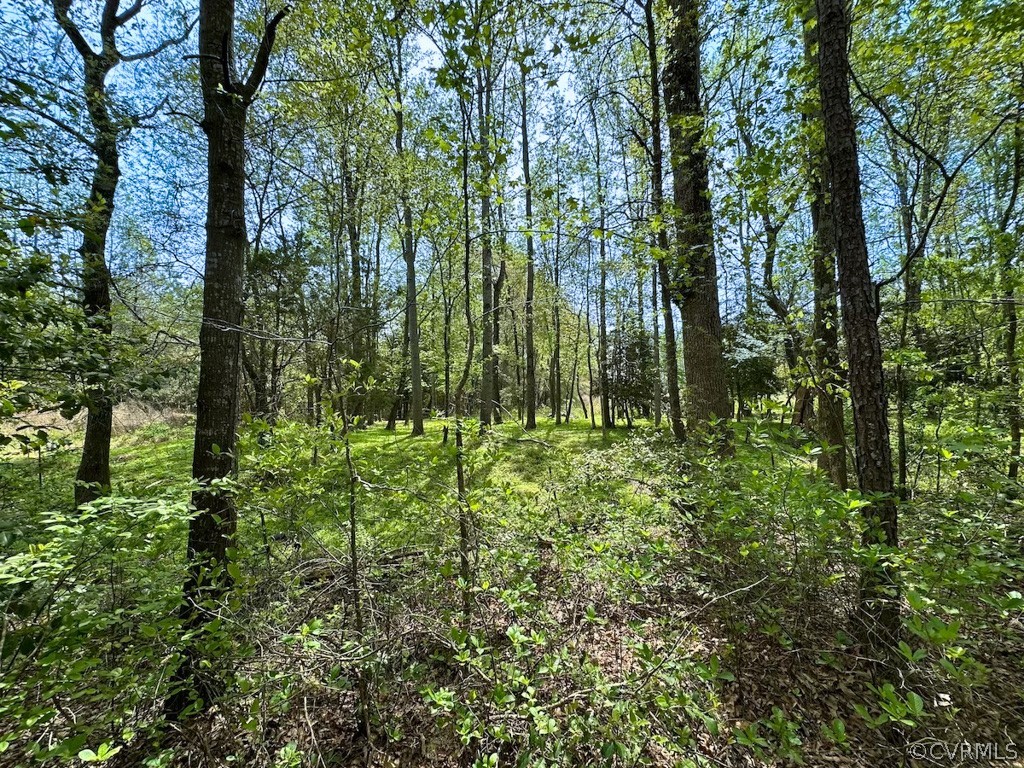 81-acres Lebanon Church Road Jarratt, VA 23867 - Photo 28 of 36 a view of outdoor space and garden