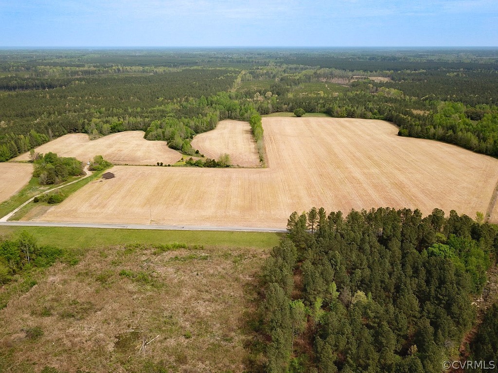 81-acres Lebanon Church Road Jarratt, VA 23867 - Photo 3 of 36