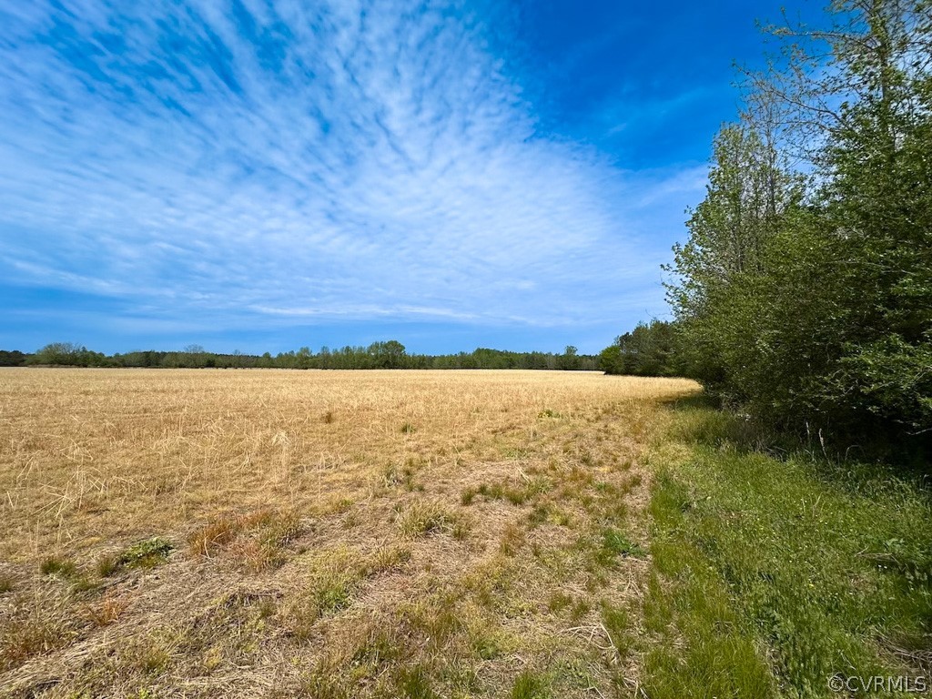81-acres Lebanon Church Road Jarratt, VA 23867 - Photo 32 of 36 a view of an ocean from a yard