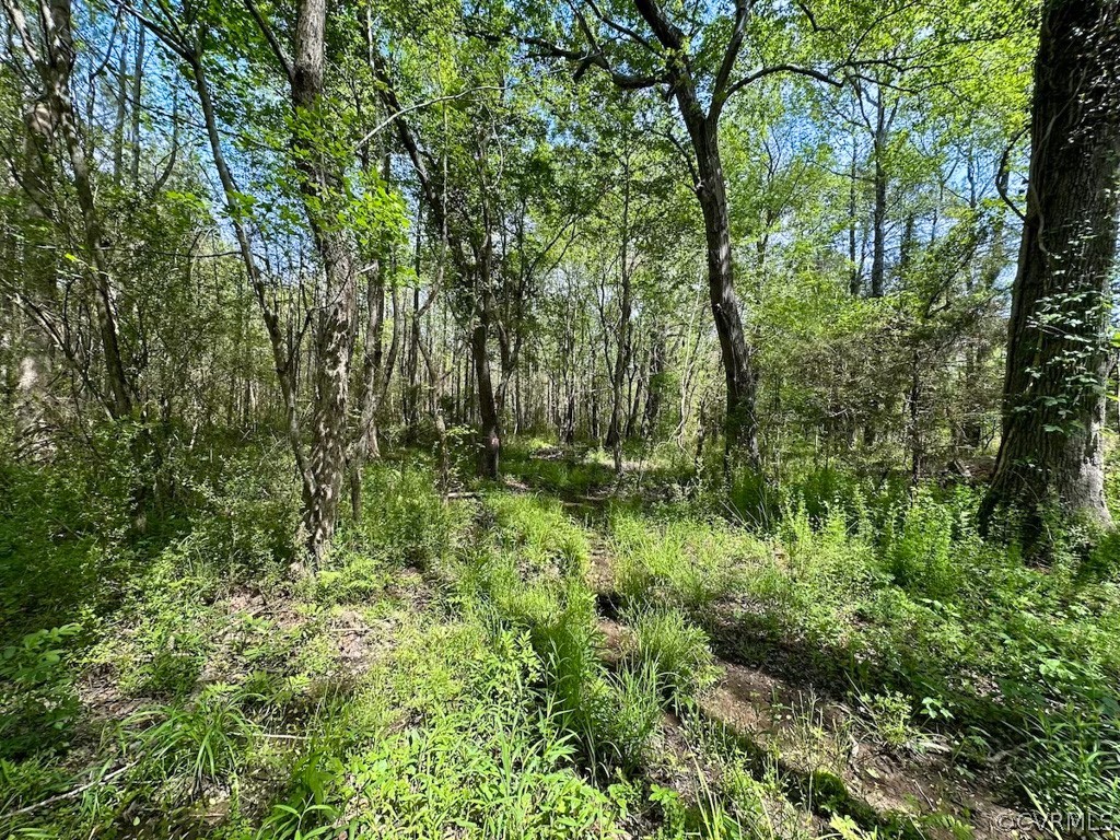 81-acres Lebanon Church Road Jarratt, VA 23867 - Photo 33 of 36 a view of a garden
