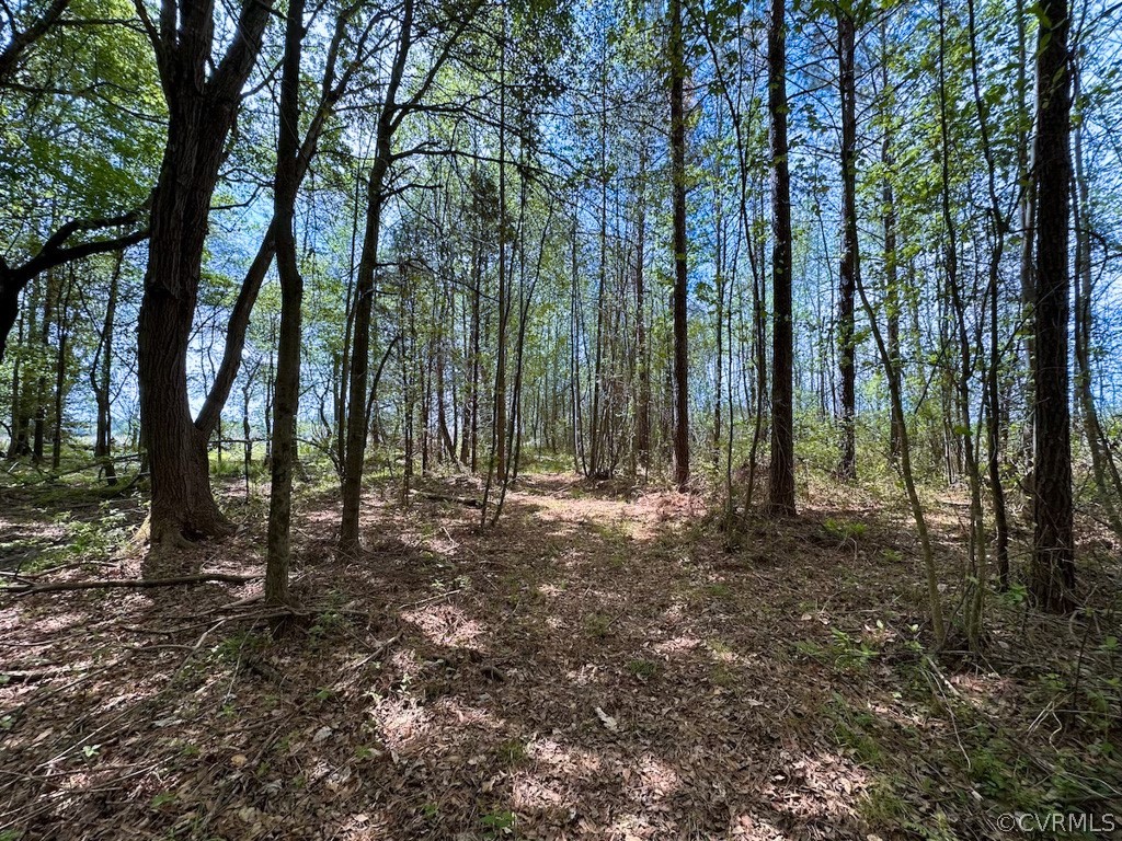 81-acres Lebanon Church Road Jarratt, VA 23867 - Photo 34 of 36 a green field with lots of trees