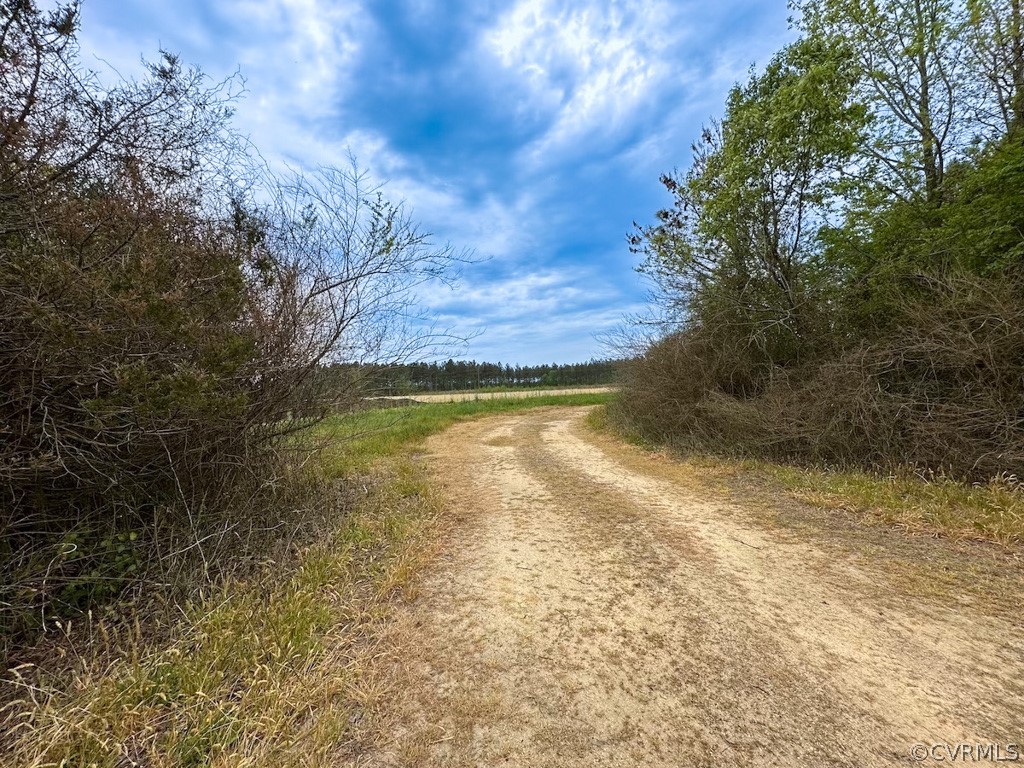 81-acres Lebanon Church Road Jarratt, VA 23867 - Photo 35 of 36 a view of a lake view