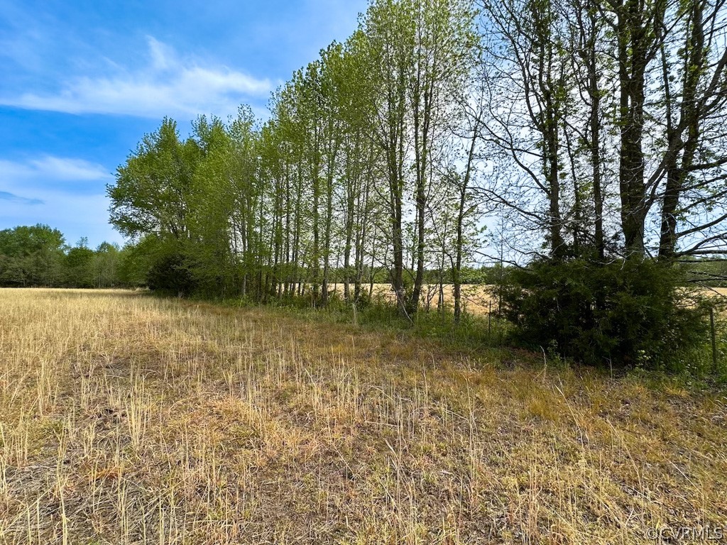 81-acres Lebanon Church Road Jarratt, VA 23867 - Photo 6 of 36 a view of outdoor space with deck