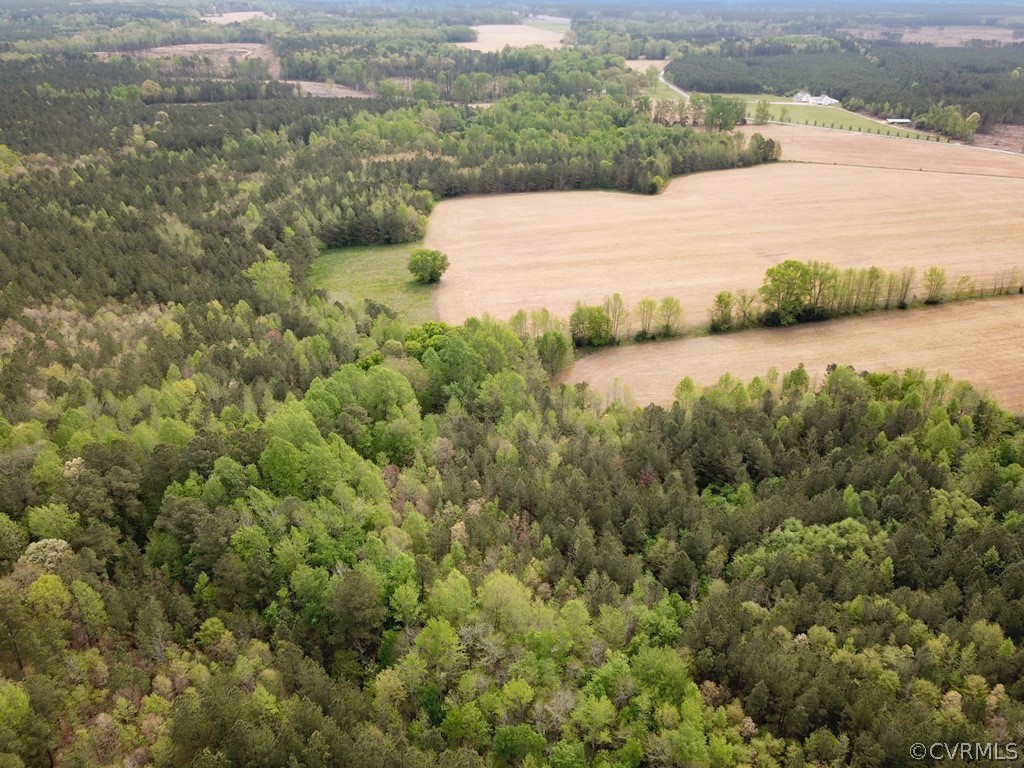 81-acres Lebanon Church Road Jarratt, VA 23867 - Photo 7 of 36 a view of a lake from a yard