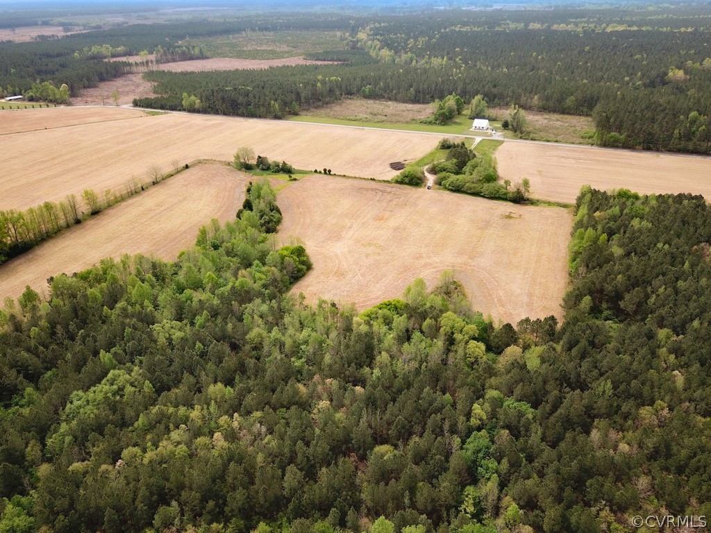 81-acres Lebanon Church Road Jarratt, VA 23867 - Photo 10 of 36 a view of a lake with beach and city view