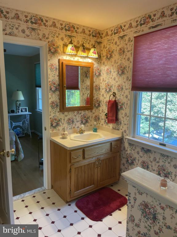 5597 Sedwick Court Frederick, MD 21702 - Photo 48 of 66 a bathroom with a sink and a bathtub