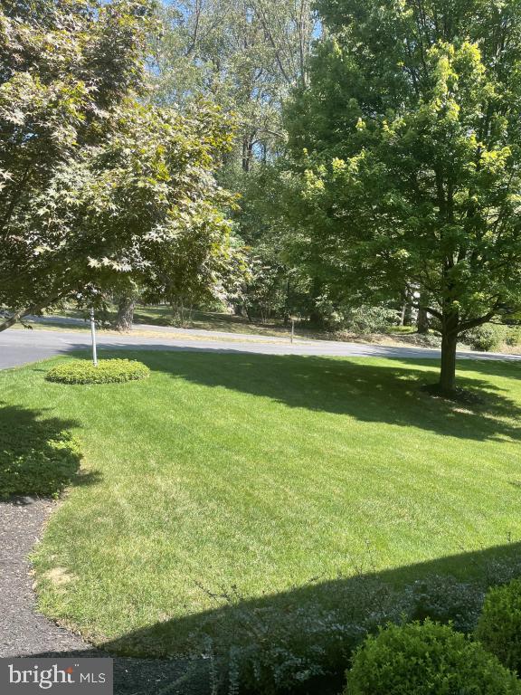 5597 Sedwick Court Frederick, MD 21702 - Photo 9 of 66 a view of yard with swimming pool and green space