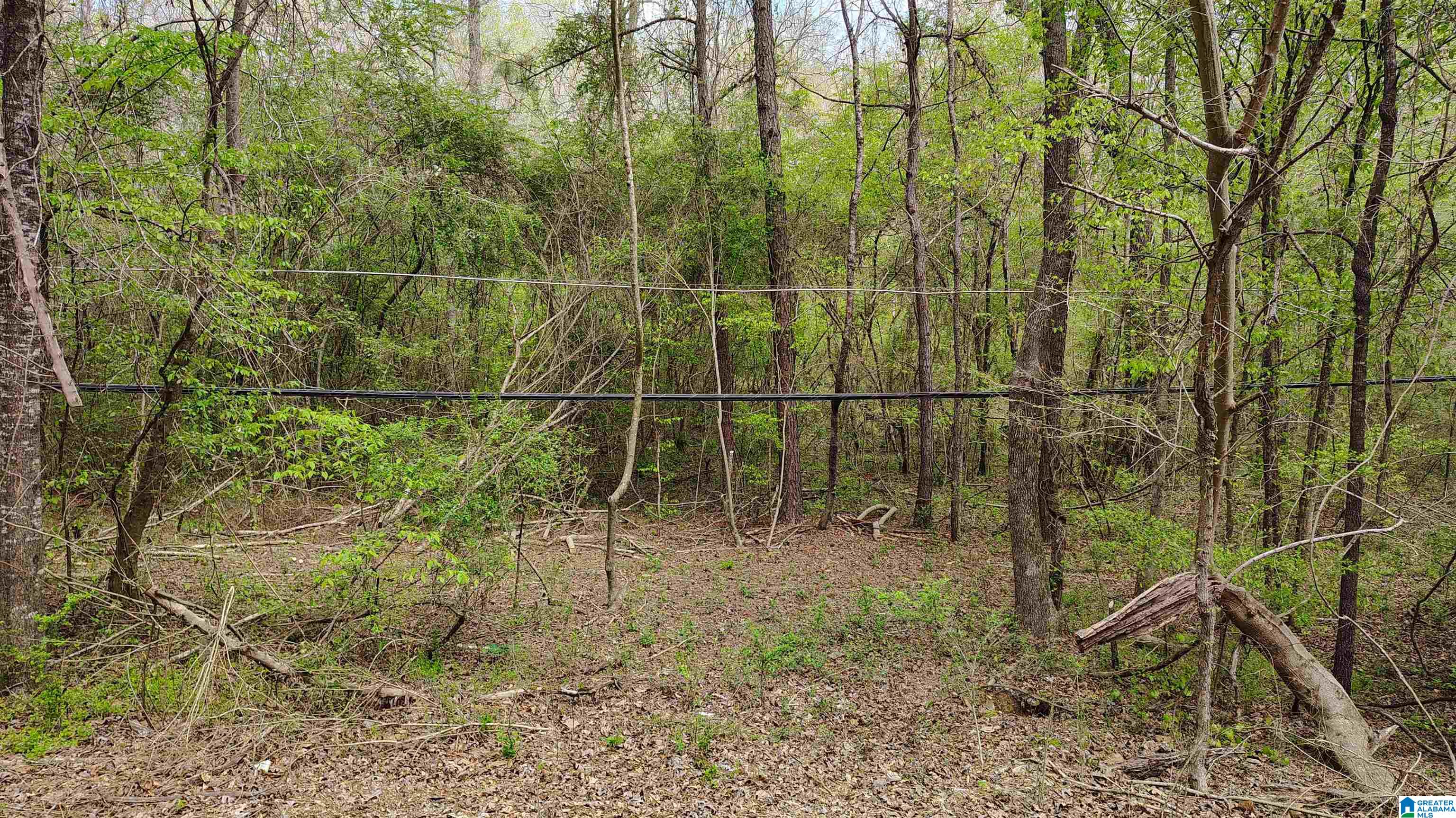 0 Glennwood Road, Unit 3 Morris, AL 35116 - Photo 2 of 25