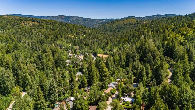 a view of a lush green forest with a mountain