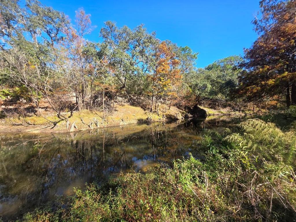 a view of mountain view with lots of trees