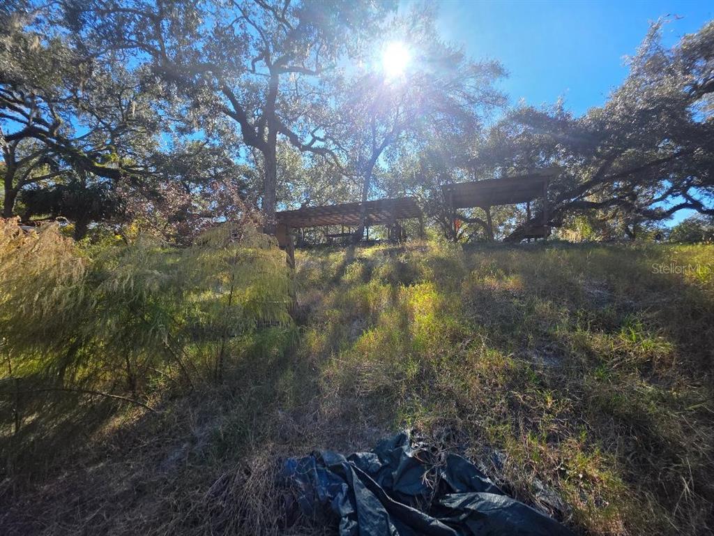 33039 Round Table Road Dade City, FL 33523 - Photo 11 of 11 a view of a yard