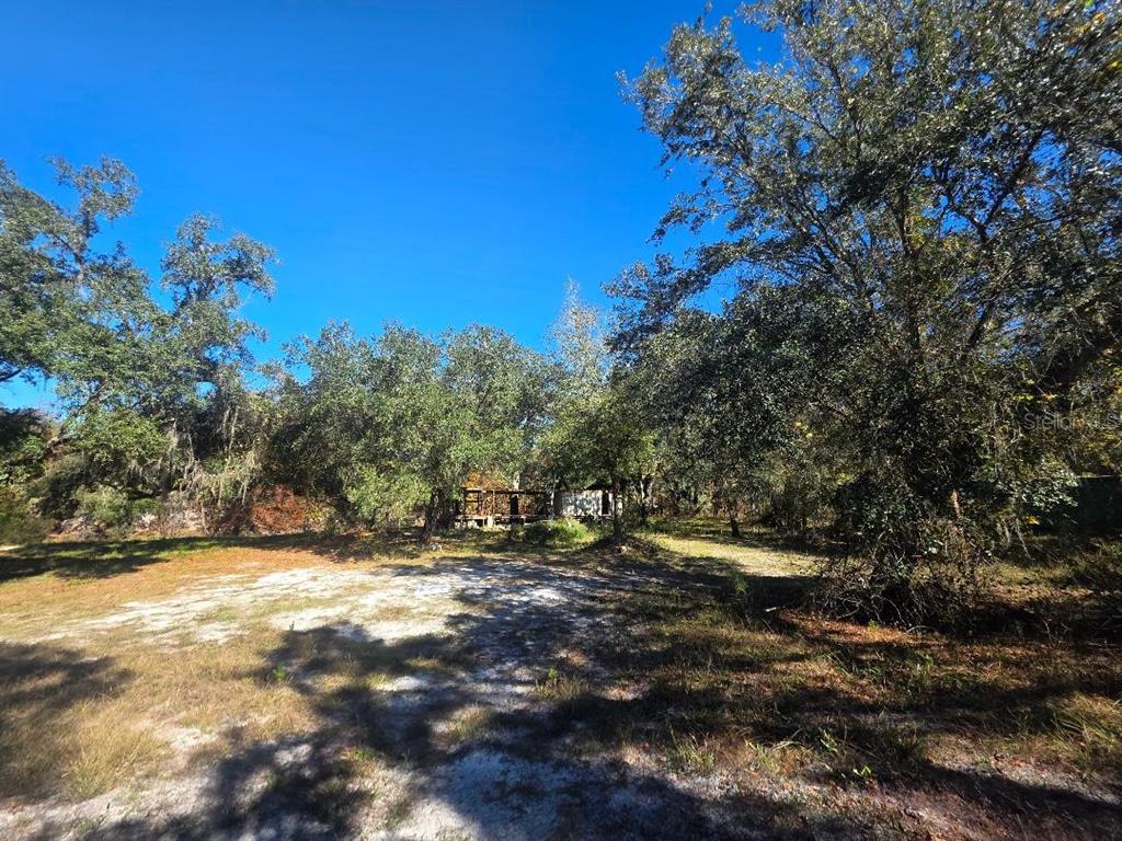 33039 Round Table Road Dade City, FL 33523 - Photo 2 of 11 a view of outdoor space with trees all around
