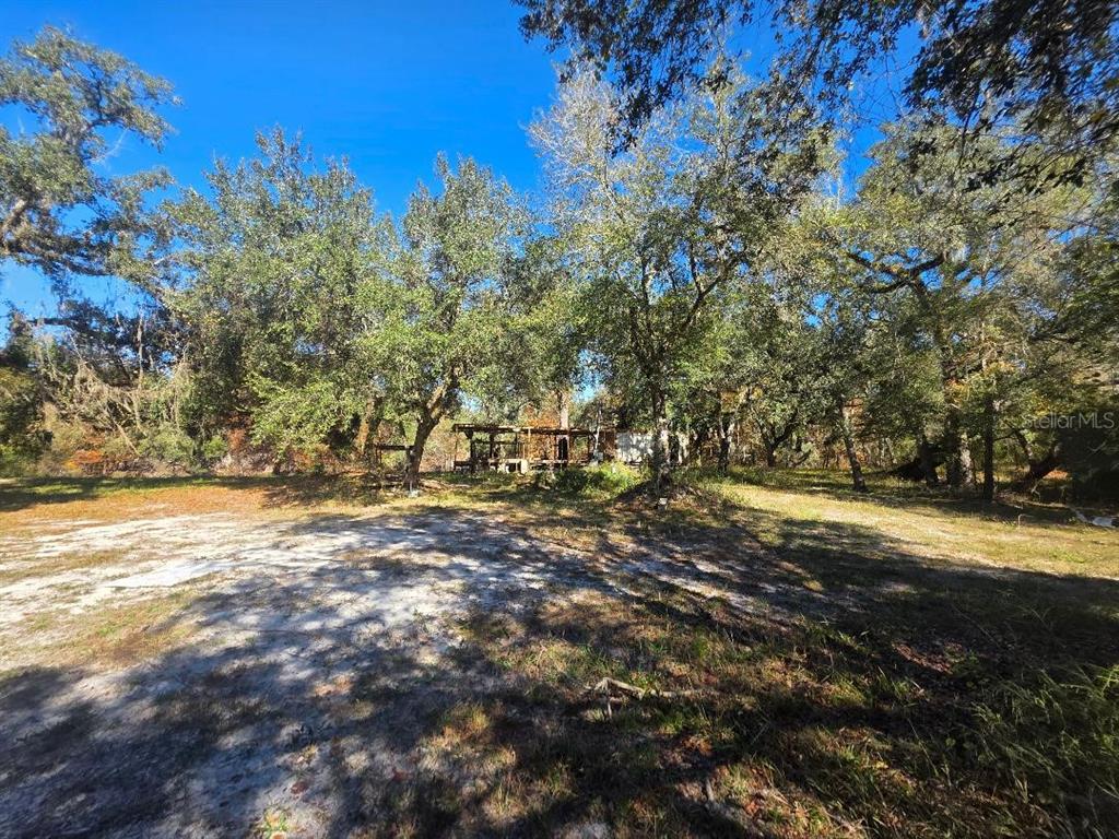 33039 Round Table Road Dade City, FL 33523 - Photo 4 of 11 a view of a yard with a tree