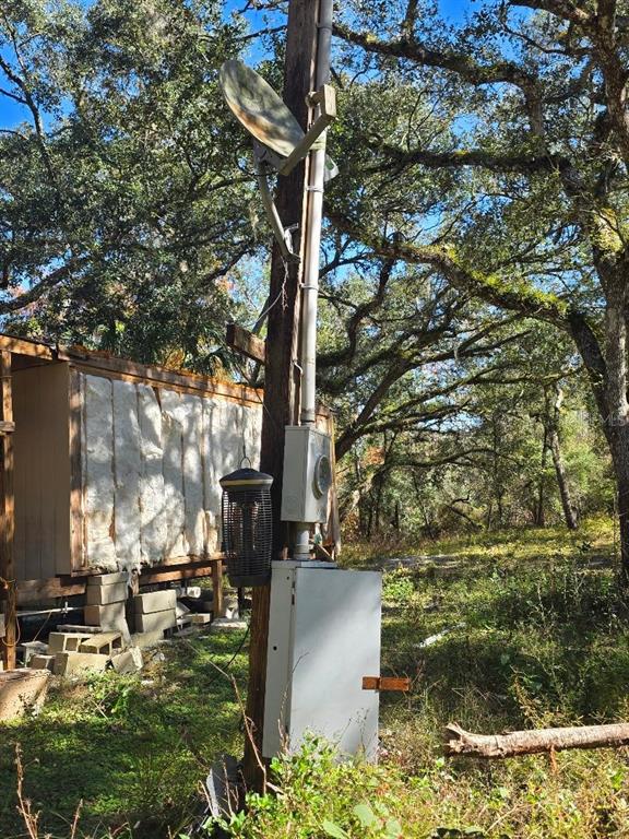 33039 Round Table Road Dade City, FL 33523 - Photo 8 of 11 a view of a yard with plants
