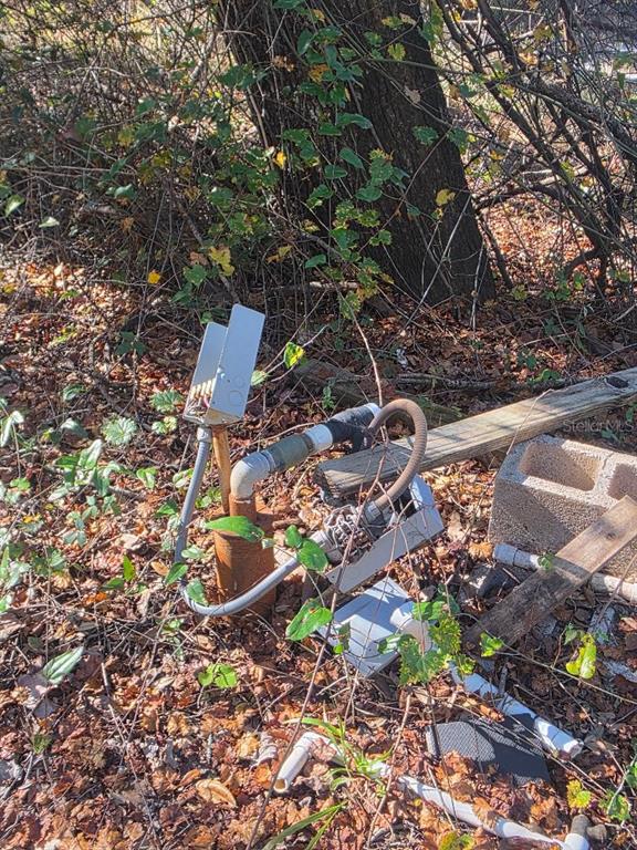 33039 Round Table Road Dade City, FL 33523 - Photo 9 of 11 a backyard of a house with lots of green space