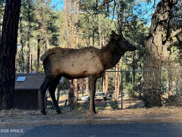 $720,000 | 228 East Belluzzi Boulevard, Payson, AZ 85541