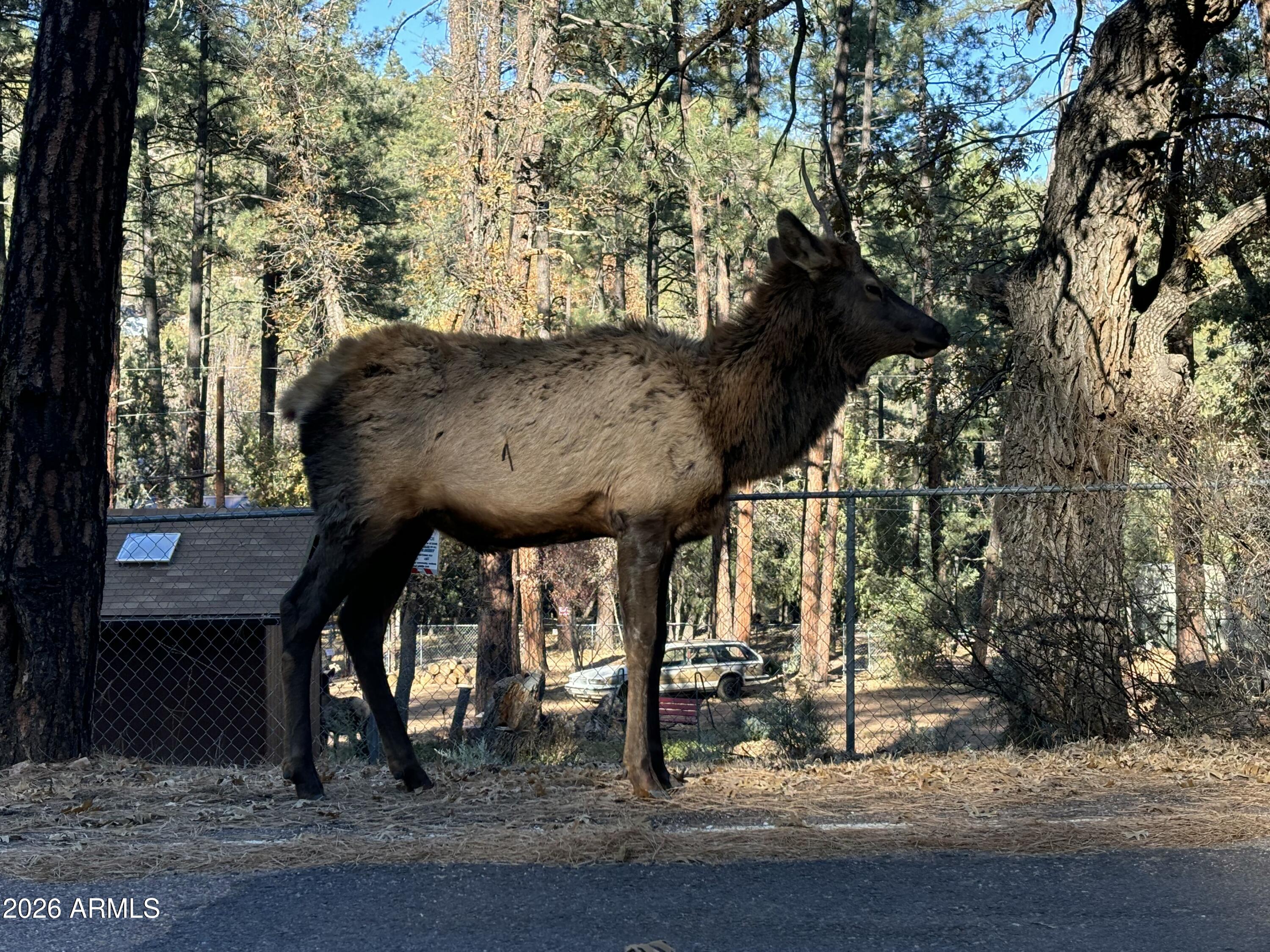 228 East Belluzzi Boulevard Payson, AZ 85541 - Photo 44 of 53 a view of a entrance gate of the house
