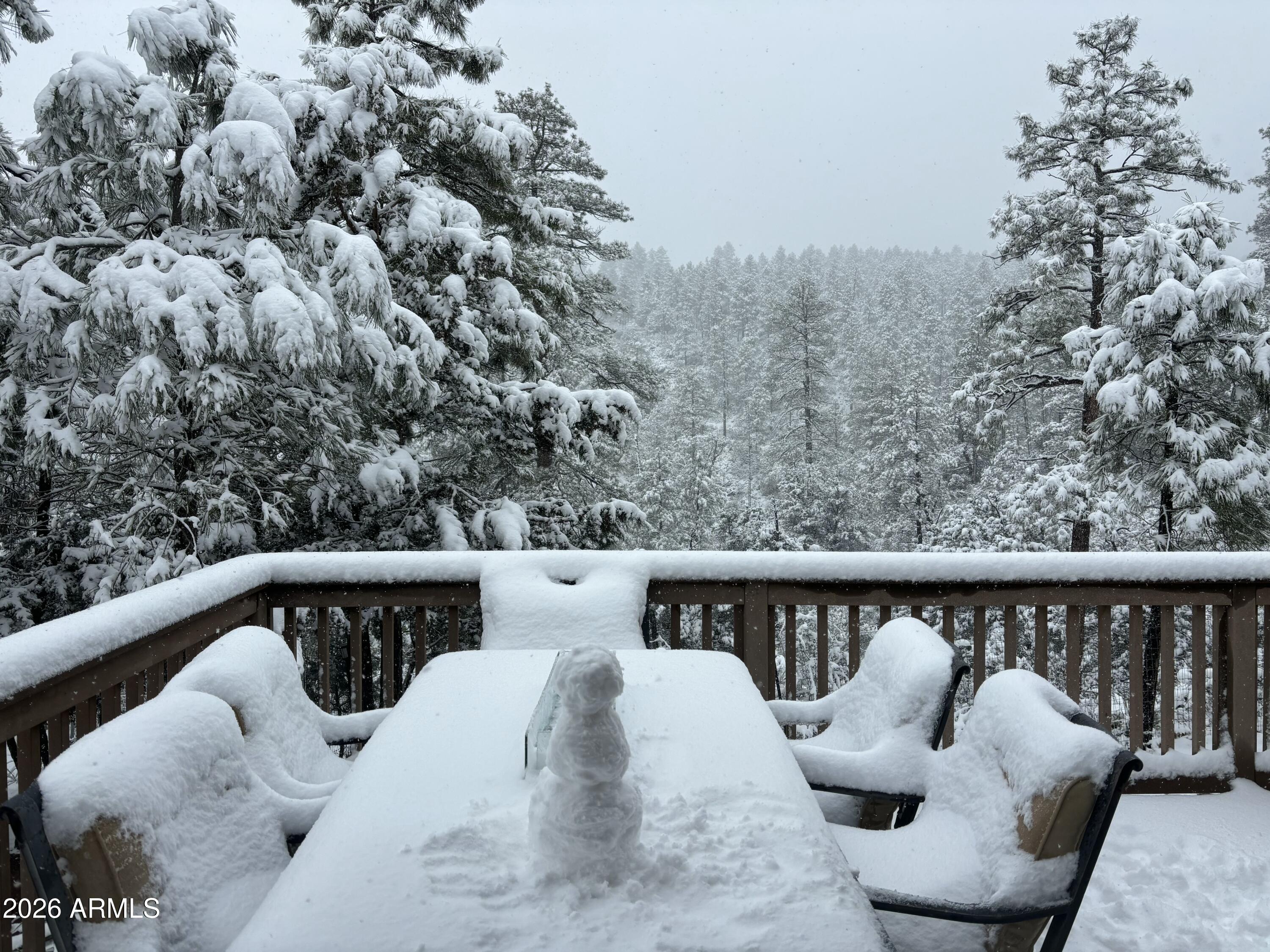 228 East Belluzzi Boulevard Payson, AZ 85541 - Photo 46 of 53 a view of roof with seating space