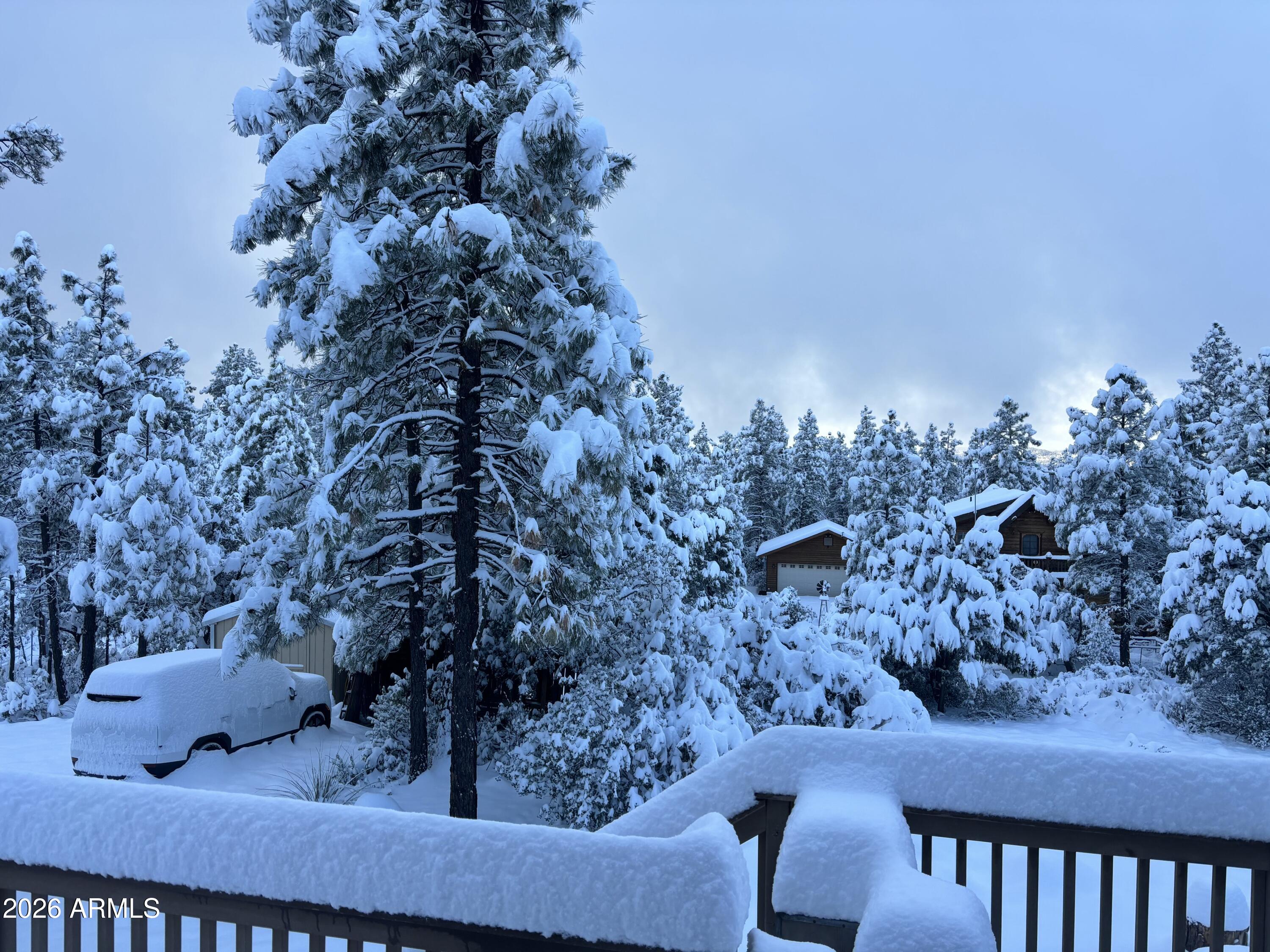 228 East Belluzzi Boulevard Payson, AZ 85541 - Photo 47 of 53 Belluzzi