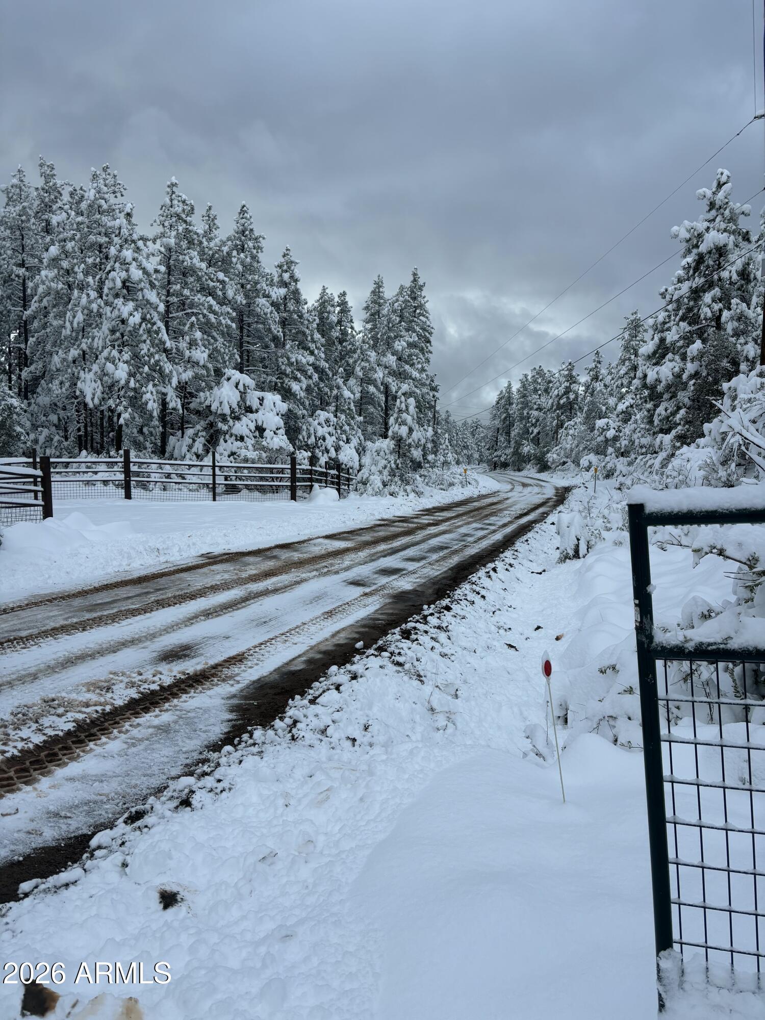 228 East Belluzzi Boulevard Payson, AZ 85541 - Photo 49 of 53 a view of a dry yard with trees