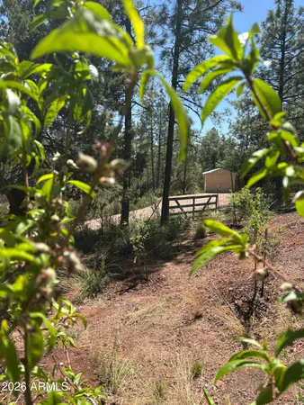 $720,000 | 228 East Belluzzi Boulevard, Payson, AZ 85541