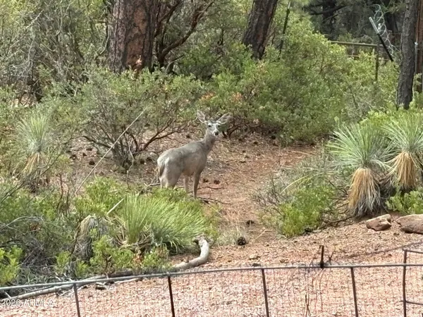 $720,000 | 228 East Belluzzi Boulevard, Payson, AZ 85541