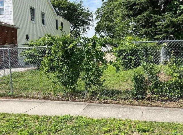 a view of a yard with potted plants