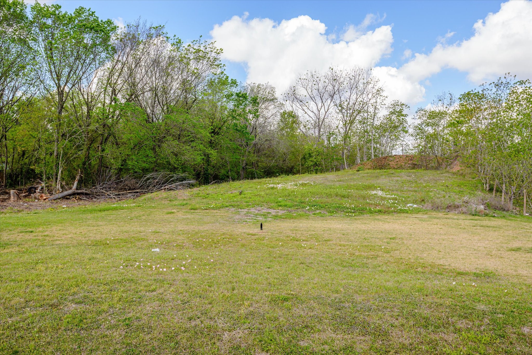 0 Mykawa Road Houston, TX 77048 - Photo 18 of 19 a view of a field with an trees