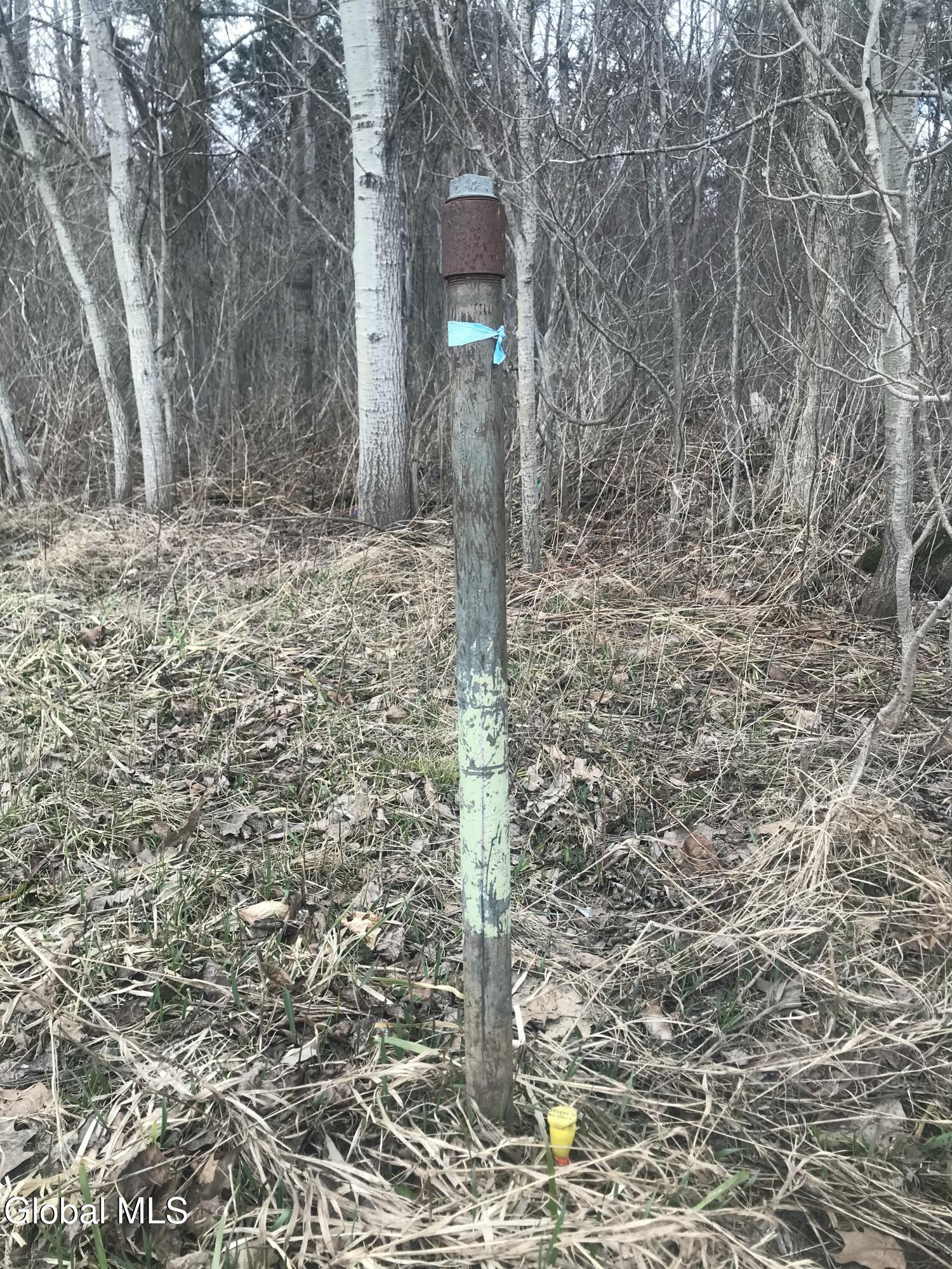 L24.12 Oswegatchie Road Palatine Bridge, NY 13428 - Photo 13 of 27 Pipe Property Marker