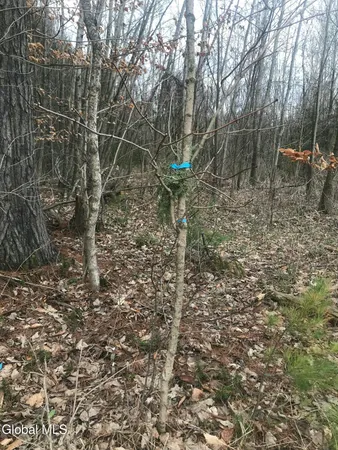 $49,000 | L24.12 Oswegatchie Road, Palatine Bridge, NY 13428