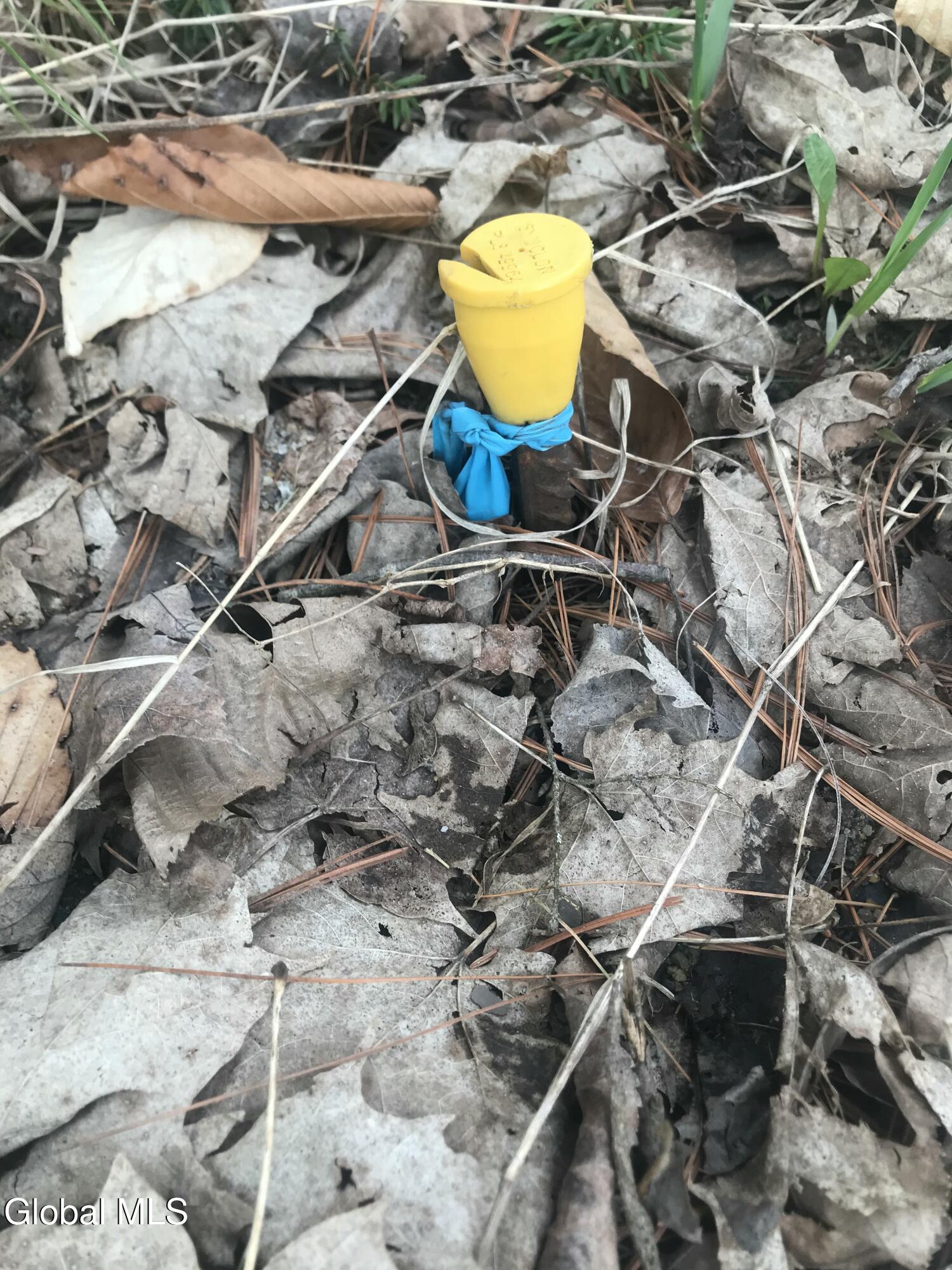 L24.12 Oswegatchie Road Palatine Bridge, NY 13428 - Photo 15 of 27 Stake Property Marker