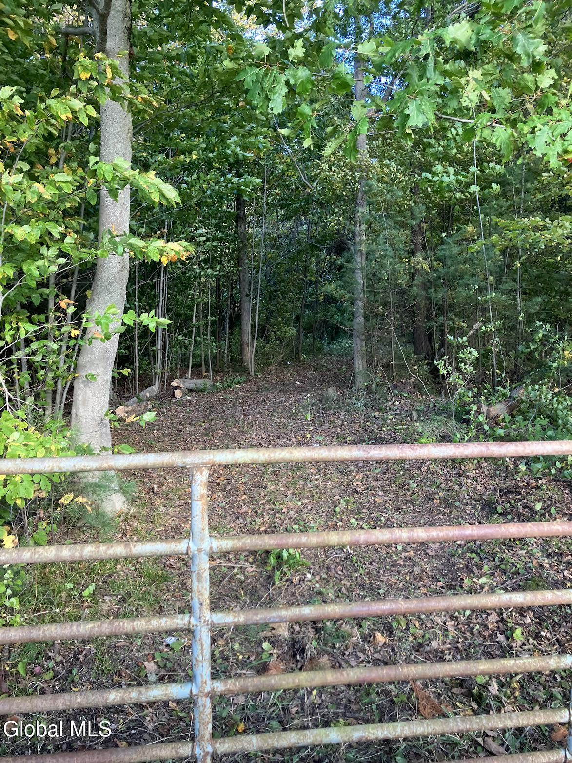 L24.12 Oswegatchie Road Palatine Bridge, NY 13428 - Photo 2 of 27 Gate to Cleared Trail