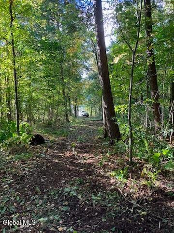 L24.12 Oswegatchie Road Palatine Bridge, NY 13428 - Photo 3 of 27 Part of Cleared Trail