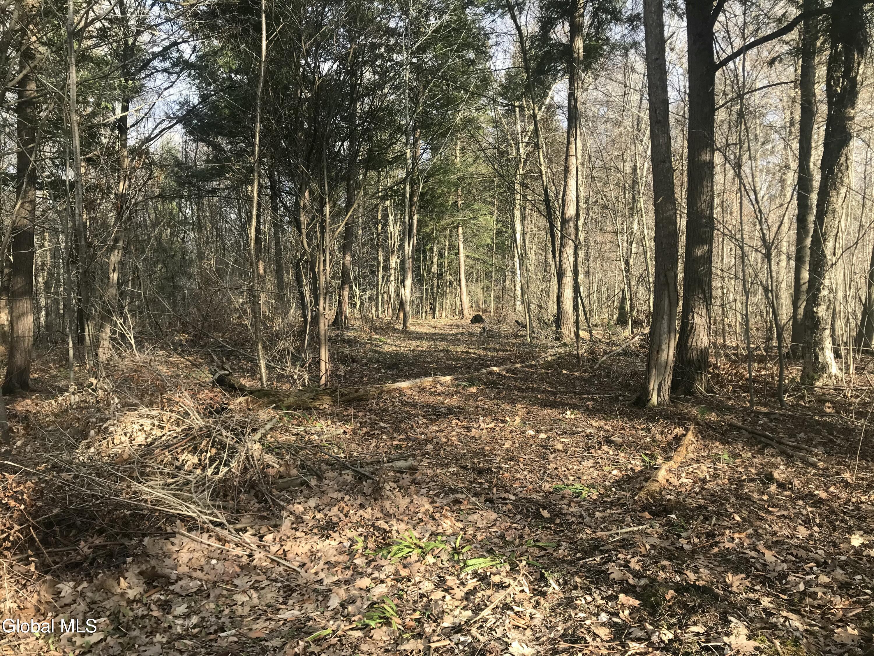 L24.12 Oswegatchie Road Palatine Bridge, NY 13428 - Photo 5 of 27 Partially cleared area of property